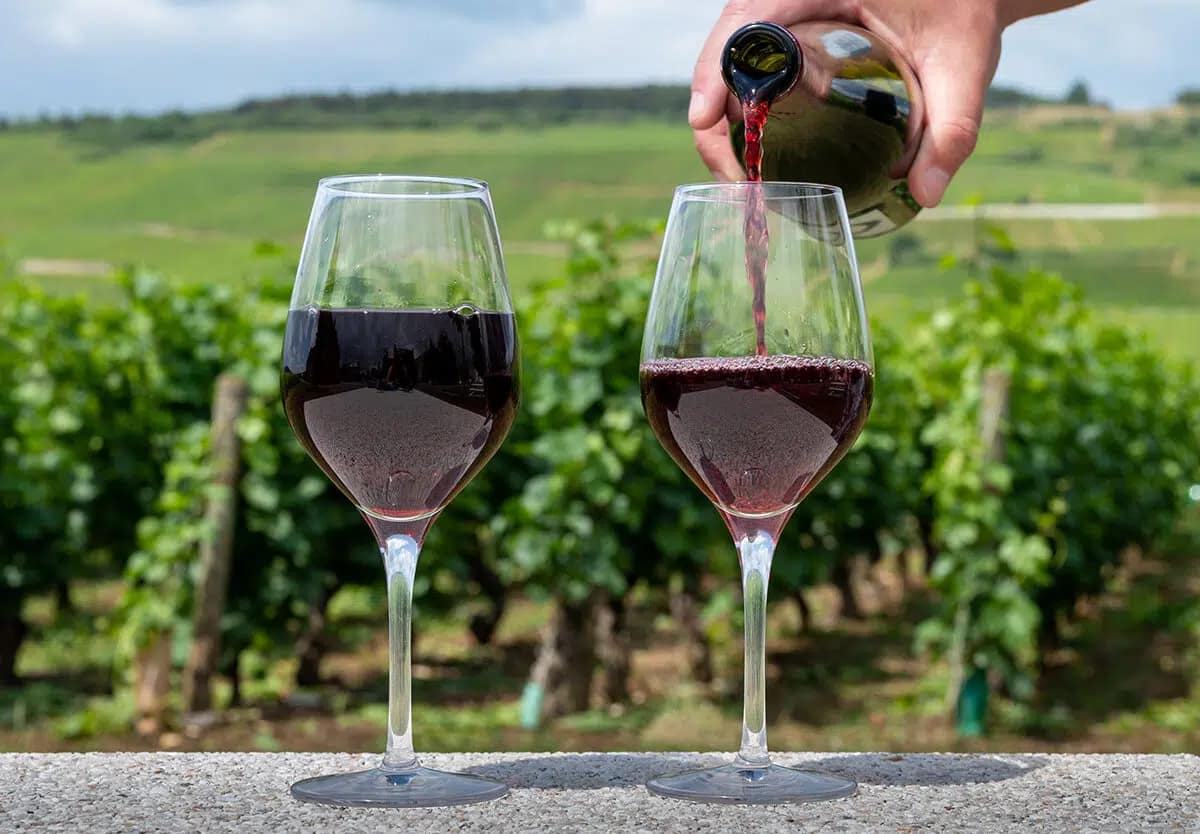 Pinot Noir Day