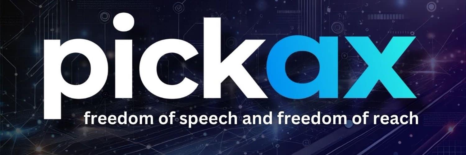 Pickax and the Fight for Free Speech Online 7 Pickax and the Fight for Free Speech Online